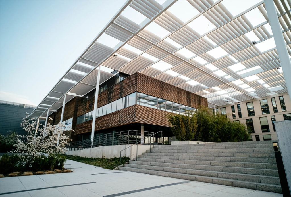 1xBet Promo Code for Registration